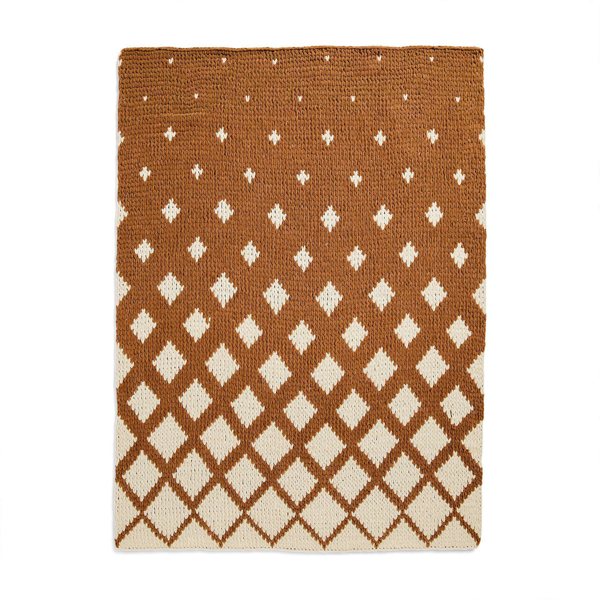 Craft Blanket made in Bernat Blanket EZ Graph-it yarn