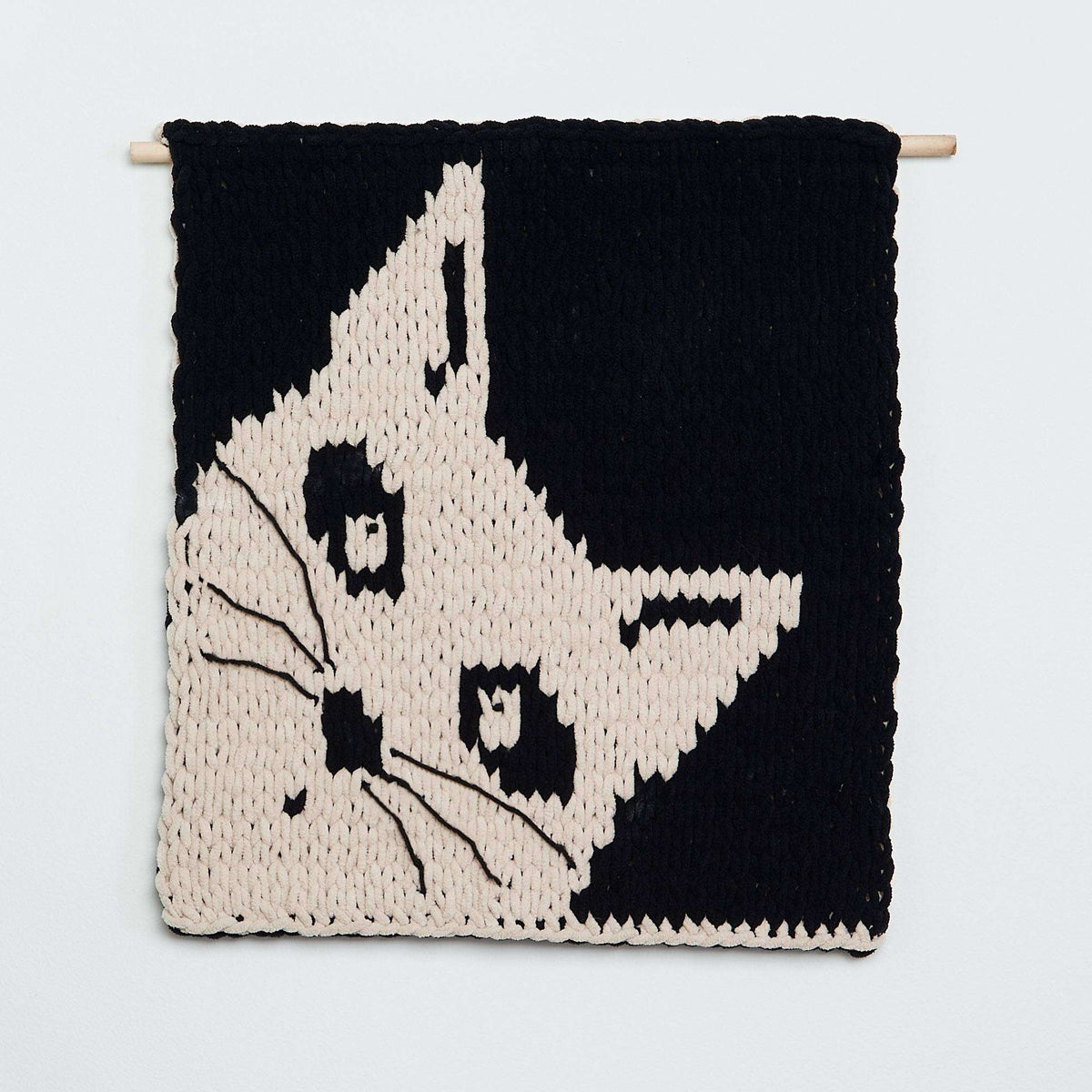 Craft Wall Hanging made in Bernat Alize Blanket EZ Graph-it yarn