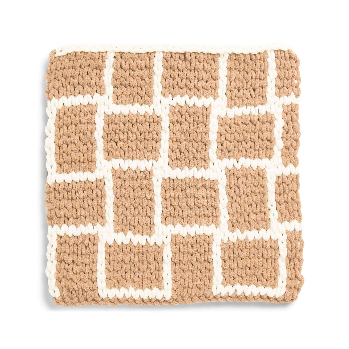 Craft Pillow made in Bernat Blanket EZ Graph-it yarn