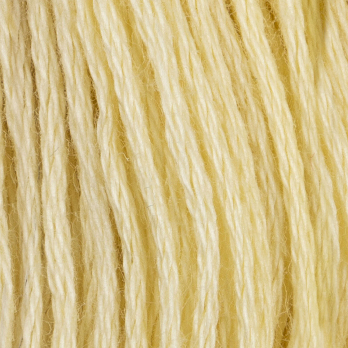 Golden Yellow Very Light