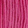 Cranberry Light