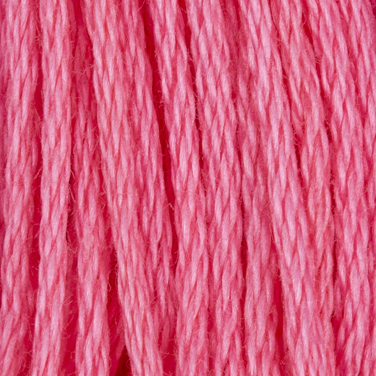 Geranium