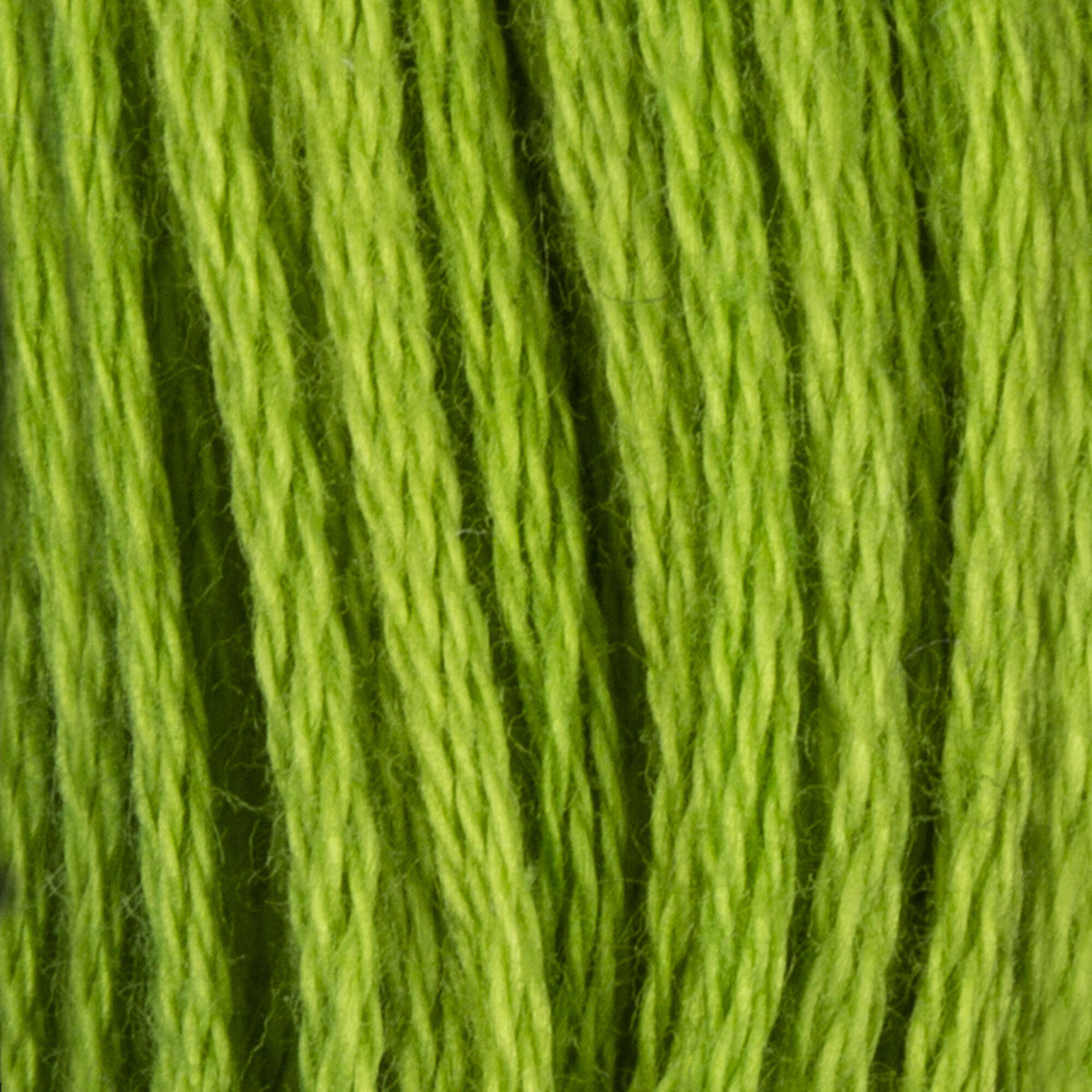 Nile