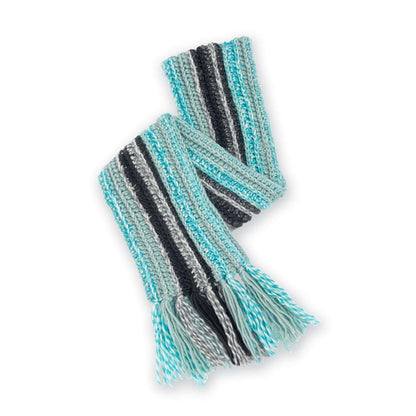 Caron Taking Sides Crochet Scarf Single Size