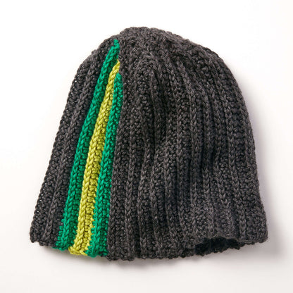 Caron Crochet Stripes On the Side Hat Single Size