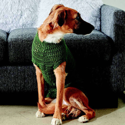 Caron Crochet Dapper Pup Sweater Small