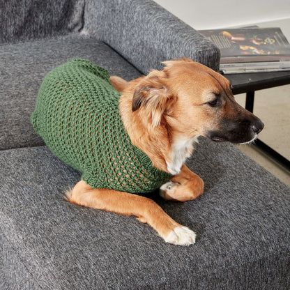 Caron Crochet Dapper Pup Sweater Small