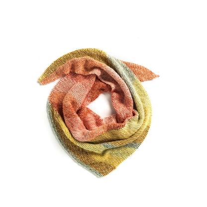 Caron Have It Both Ways Knit Shawl Single Size