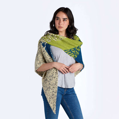 Caron Sampler Wedges Knit Shawl Single Size