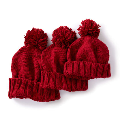 Caron Basic Family Knit Hat Single Size