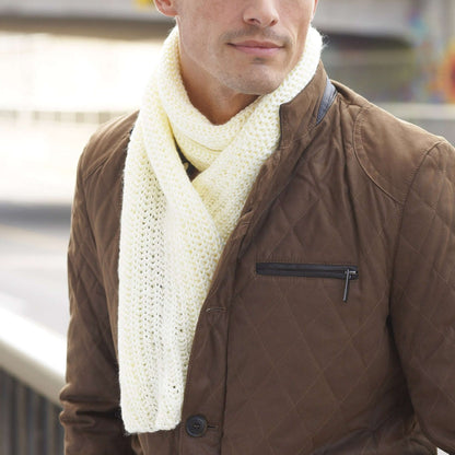 Caron Knit Men's Interchangeable Scarves Steep Diagonal