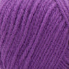 Bright Violet