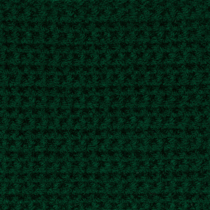 Red Heart Super Saver Yarn Hunter Green