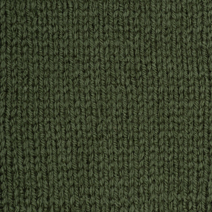 Red Heart Super Saver Yarn Medium Thyme