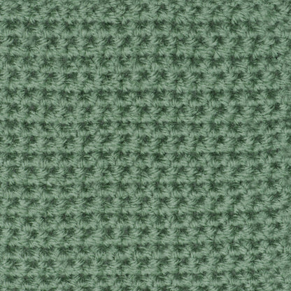 Red Heart Super Saver Yarn Light Sage