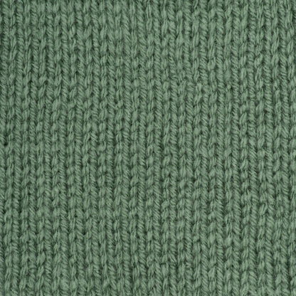 Red Heart Super Saver Yarn Light Sage