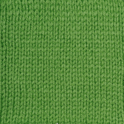Red Heart Super Saver Yarn Spring Green
