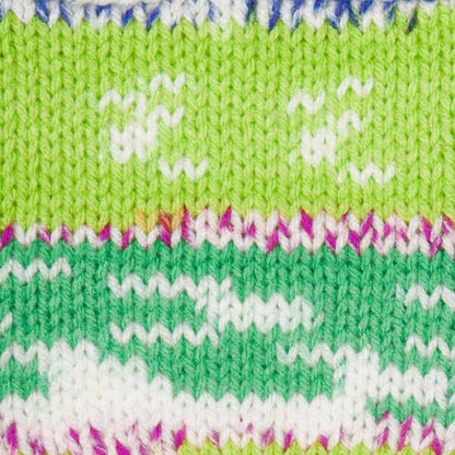 Red Heart Super Saver Fair Isle Yarn - Discontinued Shades Parrot