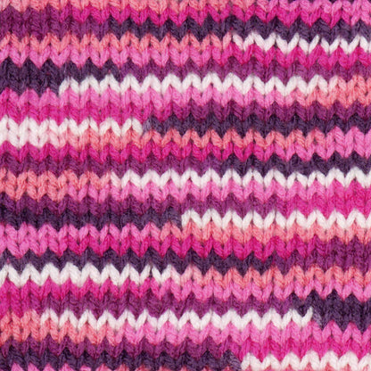 Red Heart Super Saver Pooling Yarn Berry Pooling