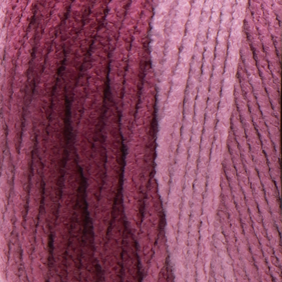 Anemone