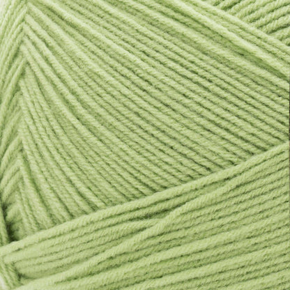 Red Heart Comfort Yarn (1000g/35.3oz) - Discontinued Shades Guacamole