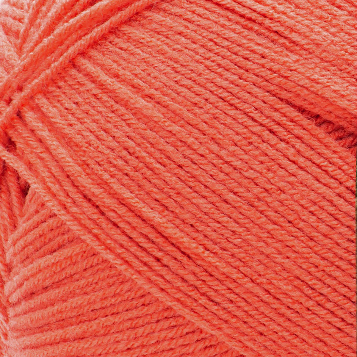 Sea Coral
