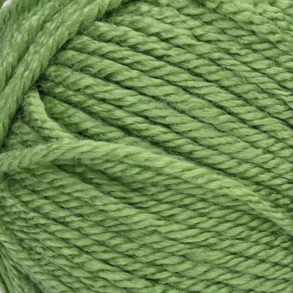 Red Heart Soft Yarn Guacamole