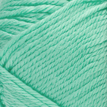 Red Heart Soft Yarn Minty