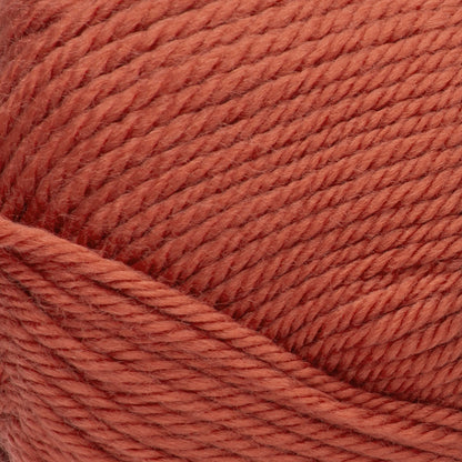Red Heart Soft Yarn Cinnabar