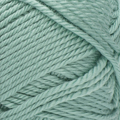 Red Heart Soft Yarn Seafoam