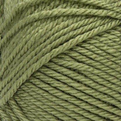 Red Heart Soft Yarn Leaf