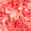 Coral Crush