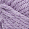 Wisteria