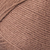 Cocoa