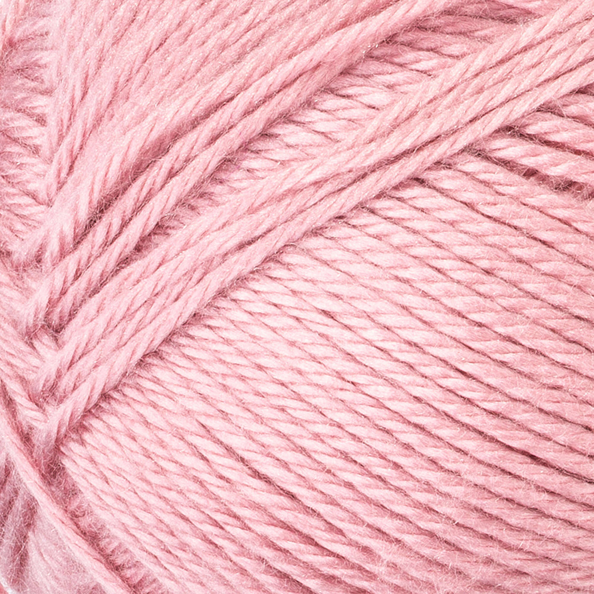 Rose Blush