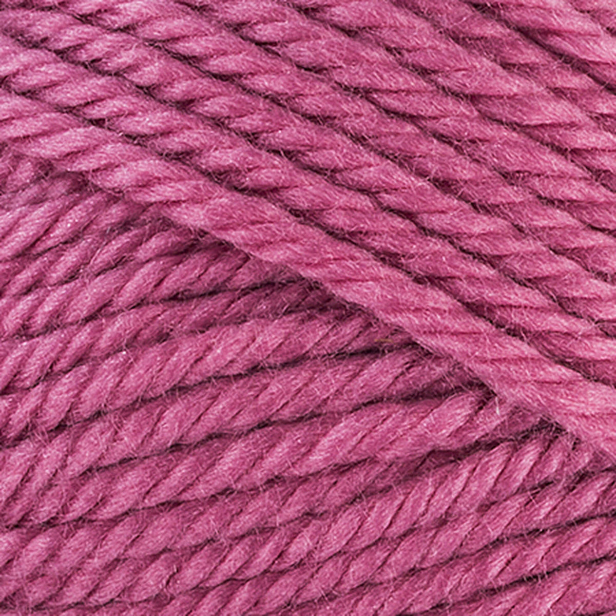 Essentials Peony