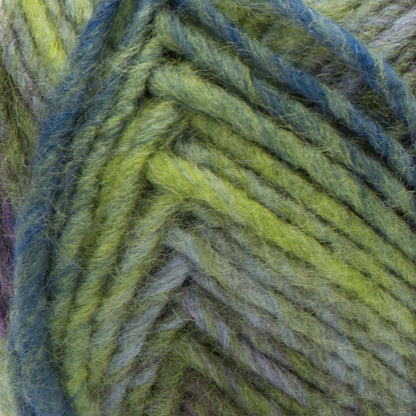 Red Heart Colorscape Yarn - Discontinued Shades Dublin