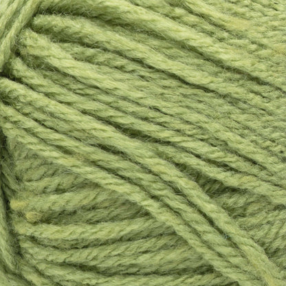 Red Heart Heat Wave Yarn - Discontinued Shades Seaweed