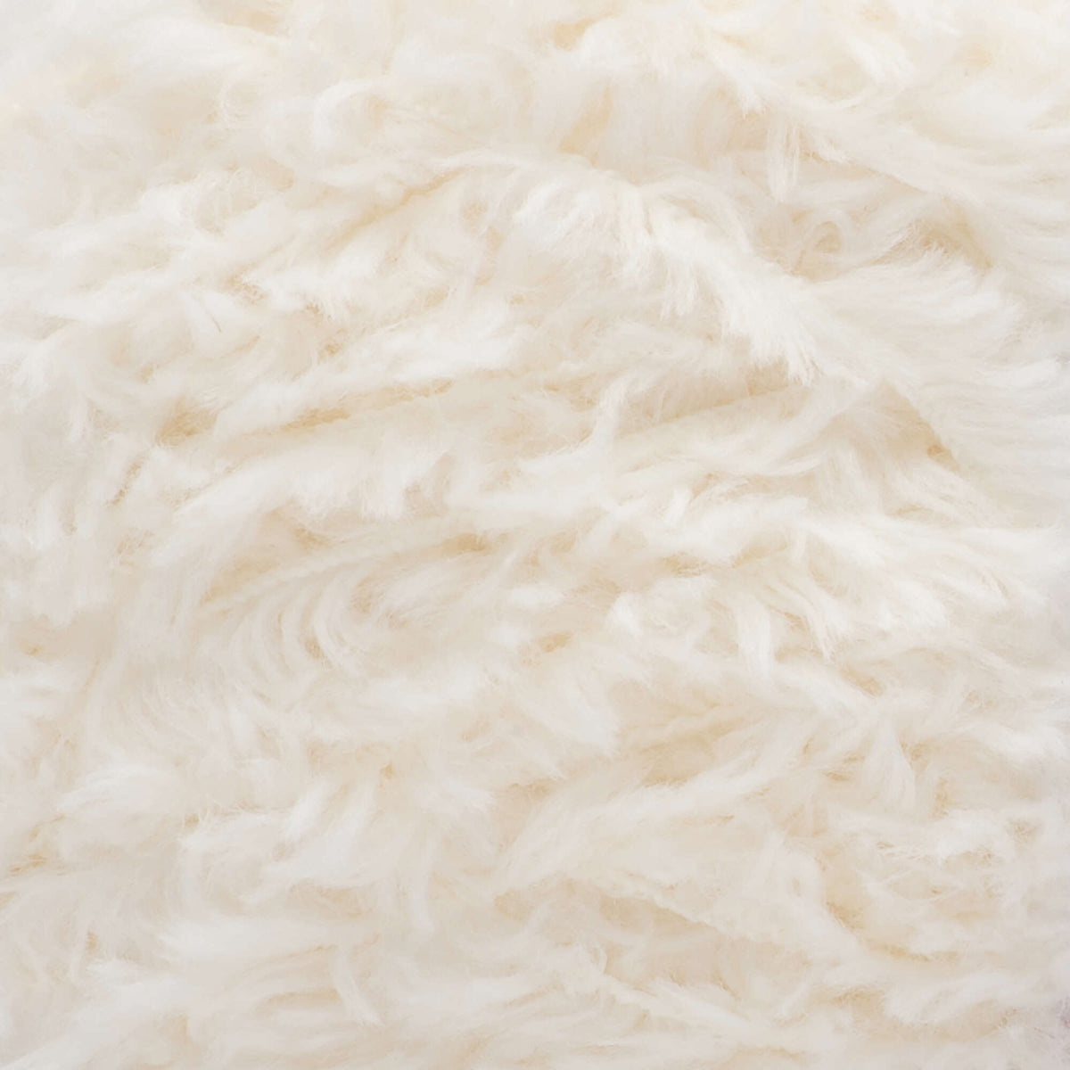 Cotton Tail