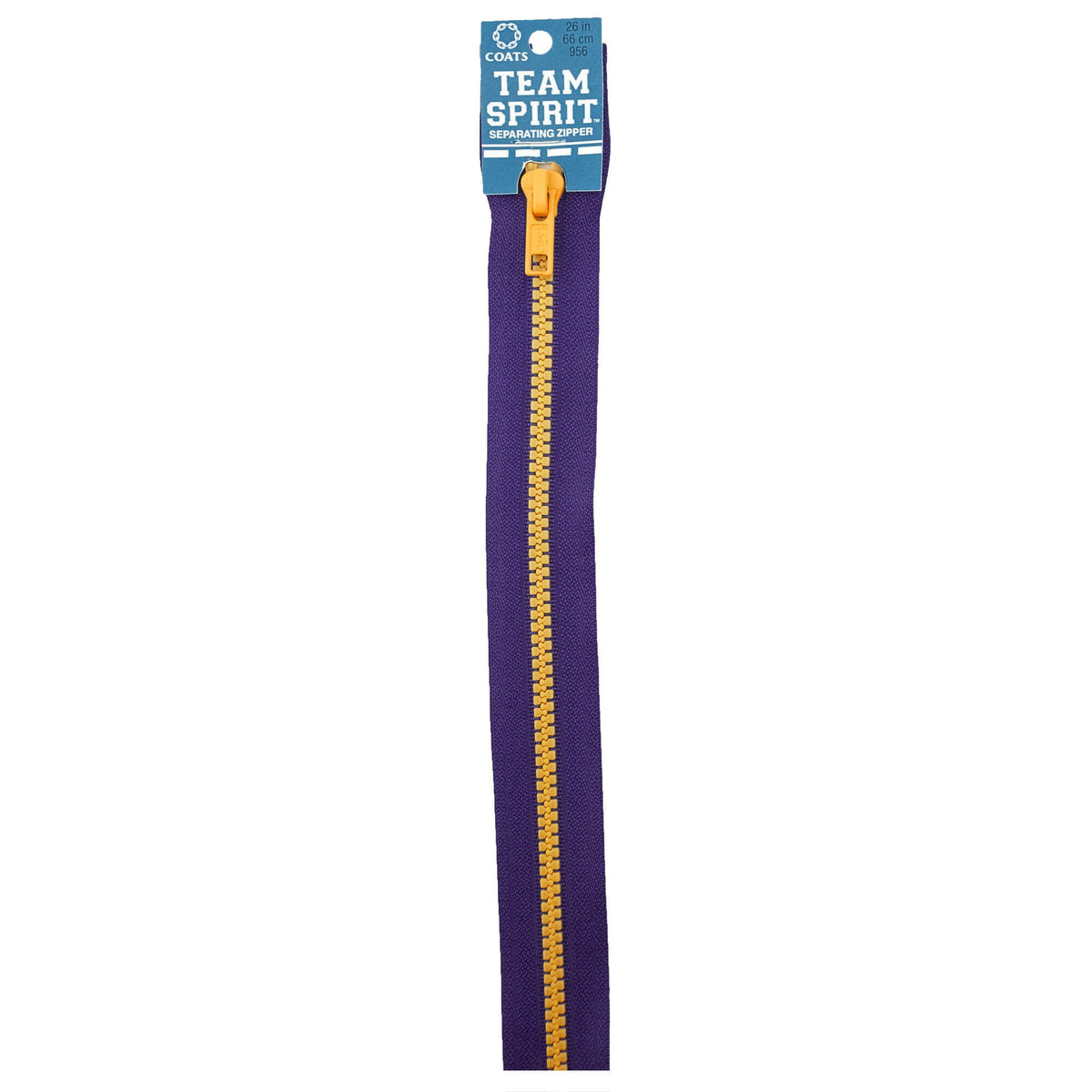 Purple/Gold