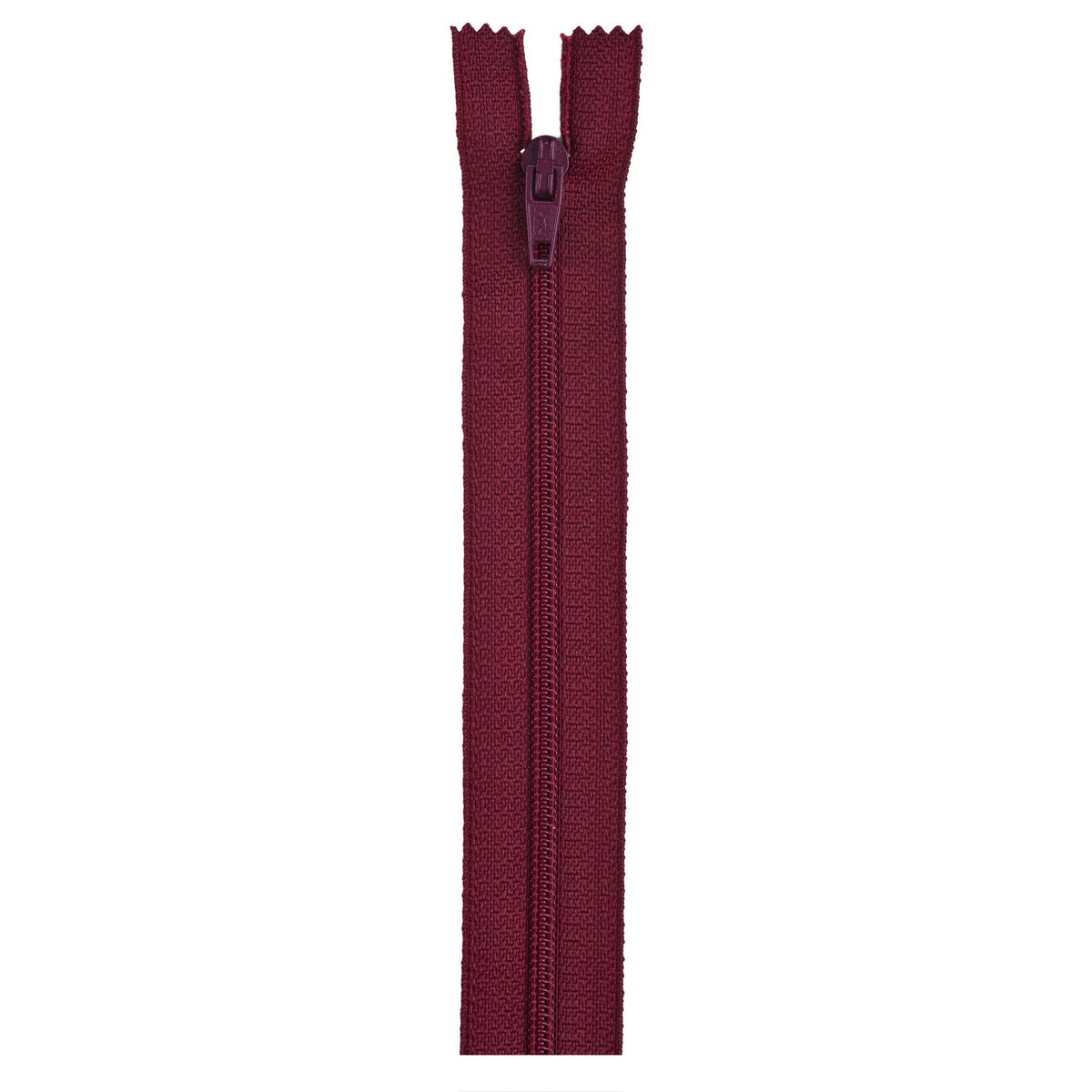 Barberry Red