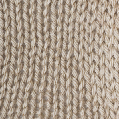 Caron Simply Soft Yarn Bone