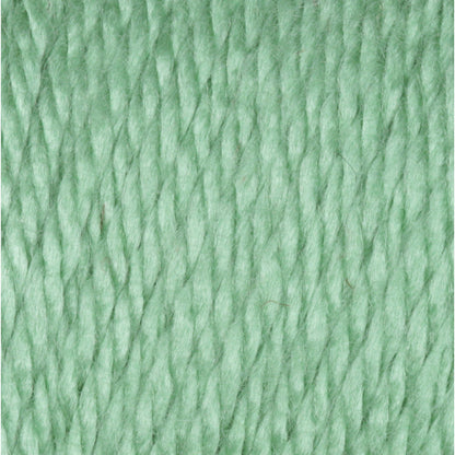 Caron Simply Soft Yarn Sage