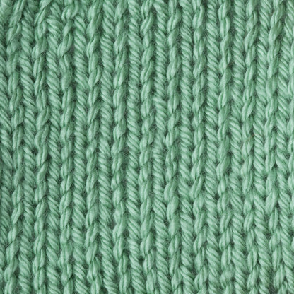 Caron Simply Soft Yarn Sage