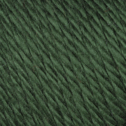 Caron Simply Soft Yarn Dark Sage