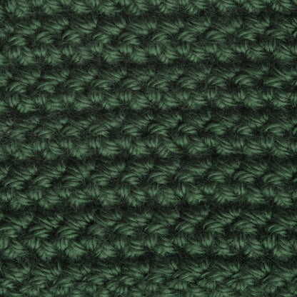 Caron Simply Soft Yarn Dark Sage
