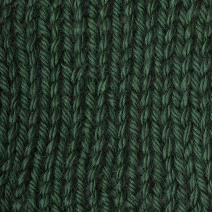 Caron Simply Soft Yarn Dark Sage
