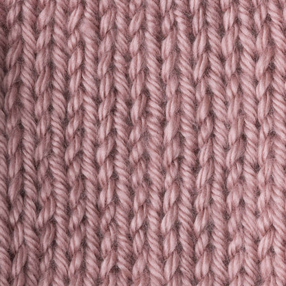 Caron Simply Soft Yarn Victorian Rose