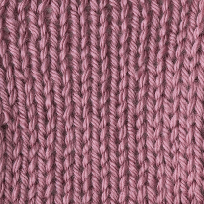 Caron Simply Soft Yarn Plum Wine
