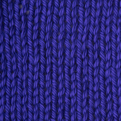 Caron Simply Soft Yarn Iris